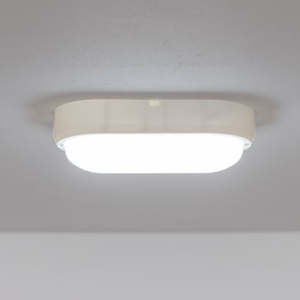Brilagi - LED Industrijska stropna svjetiljka SIMA LED/12W/230V IP65 bijela