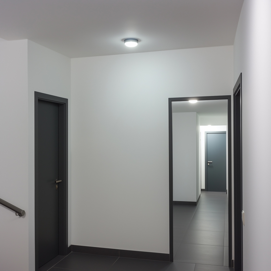 Brilagi - LED Industrijska stropna svjetiljka SIMA LED/12W/230V IP65 crna