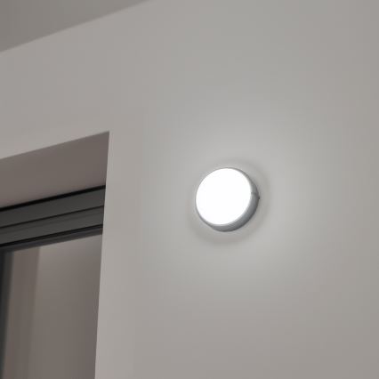 Brilagi - LED Industrijska stropna svjetiljka SIMA LED/12W/230V IP65 crna