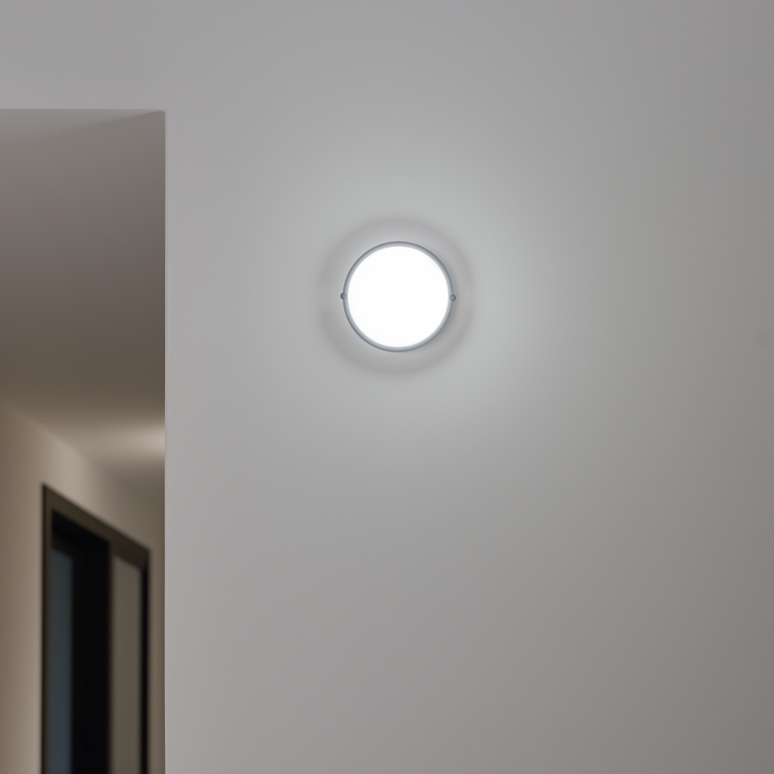 Brilagi - LED Industrijska stropna svjetiljka SIMA LED/12W/230V IP65 crna