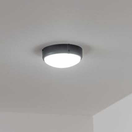 Brilagi - LED Industrijska stropna svjetiljka SIMA LED/12W/230V IP65 crna