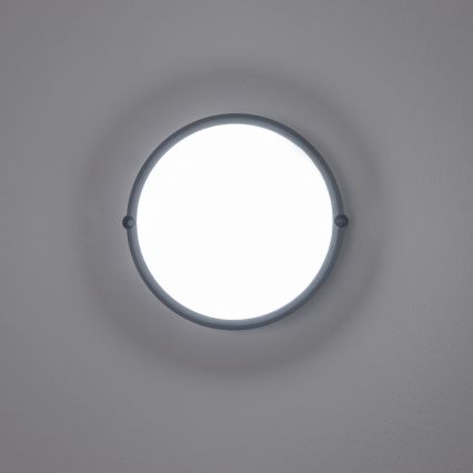 Brilagi - LED Industrijska stropna svjetiljka SIMA LED/12W/230V IP65 crna