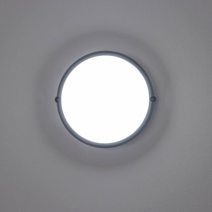 Brilagi - LED Industrijska stropna svjetiljka SIMA LED/12W/230V IP65 crna
