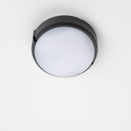Brilagi - LED Industrijska stropna svjetiljka SIMA LED/12W/230V IP65 crna