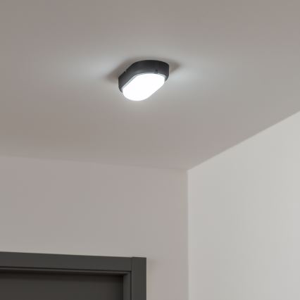 Brilagi - LED Industrijska stropna svjetiljka SIMA LED/12W/230V IP65 crna