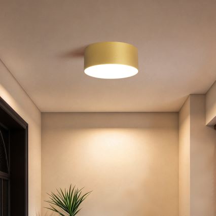 BRILAGI - LED stropno kupaonsko svjetlo FORIS LED/20W/230V Ø 15 cm zlatno IP44