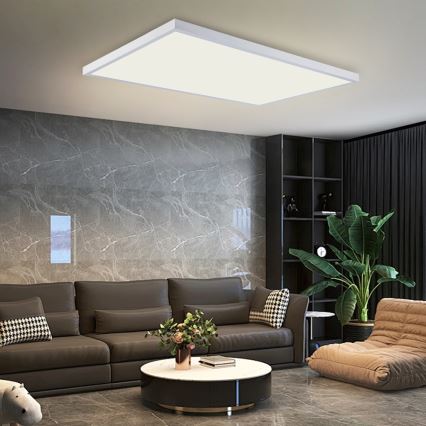 Brilagi - LED kupaonsko stropno svjetlo FRAME LED/96W/230V 120x60 cm 3000/4000/6000K IP44 bijela