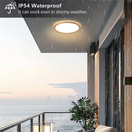 Brilagi - ULTRA SLIM stropno svjetlo za kupaonicu LED/24W/230V, promjer 42 cm, ružičasto-zlatno, IP54