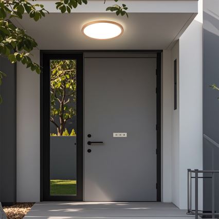 Brilagi - ULTRA SLIM stropno svjetlo za kupaonicu LED/24W/230V, promjer 42 cm, ružičasto-zlatno, IP54