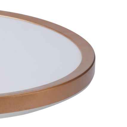 Brilagi - ULTRA SLIM stropno svjetlo za kupaonicu LED/24W/230V, promjer 42 cm, ružičasto-zlatno, IP54