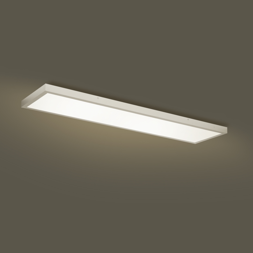 Brilagi - LED stropno svjetlo za kupaonicu FRAME LED/50W/230V 3000/4000/6000K 120x30 cm IP44 srebrno
