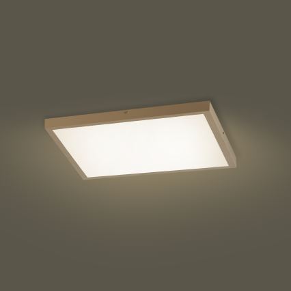 Brilagi - LED prigušivo stropno svjetlo za kupaonicu FRAME SMART LED/50W/230V 60x60 cm 3000-6000K IP44 bež + daljinski upravljač