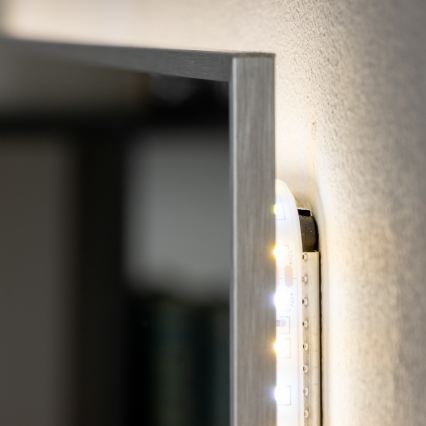 Brilagi - LED ogledalo za kupaonicu DESIO LED/30W/230V 60x90 cm srebrno IP44 CRI 90 dimerabilno + CCT