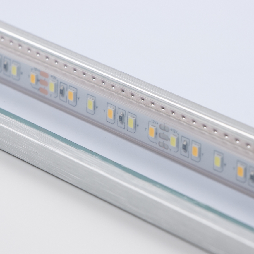 Brilagi - LED ogledalo za kupaonicu DESIO LED/30W/230V 60x90 cm srebrno IP44 CRI 90 dimerabilno + CCT