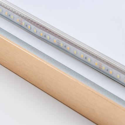 Brilagi - LED ogledalo za kupaonicu ERBA LED/25W/230V 50x80 cm zlatno IP44 CRI 90 s mogućnošću prigušivanja + CCT