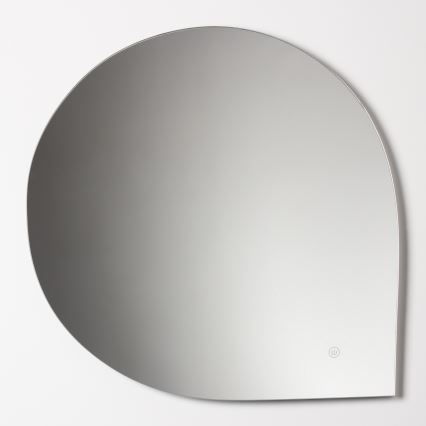 Brilagi - LED ogledalo za kupaonicu RICADI LED/19W/230V 60x60 cm IP44 CRI 90 s mogućnošću prigušivanja + CCT