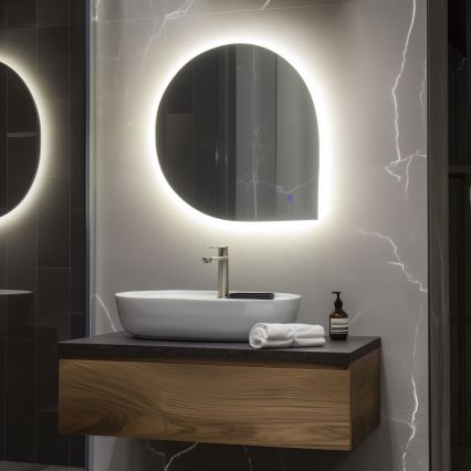 Brilagi - LED ogledalo za kupaonicu RICADI LED/19W/230V 60x60 cm IP44 CRI 90 s mogućnošću prigušivanja + CCT