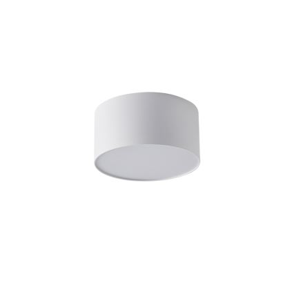 Brilagi - LED kupaonsko stropno svjetlo FORIS LED/14W/230V Ø 12 cm bijelo IP44