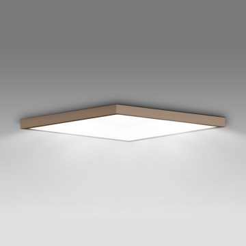 Brilagi - LED kupaonsko stropno svjetlo FRAME LED/50W/230V 60x60 cm IP44 bež