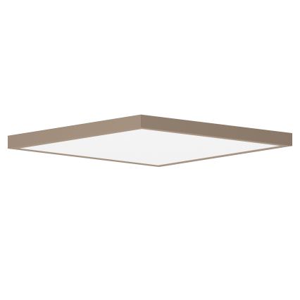 Brilagi - LED kupaonsko stropno svjetlo FRAME LED/50W/230V 60x60 cm IP44 bež