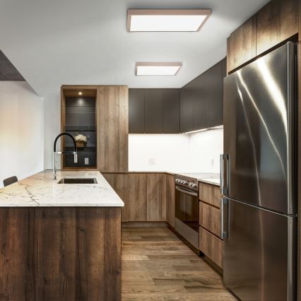 Brilagi - LED kupaonsko stropno svjetlo FRAME LED/50W/230V 60x60 cm IP44 bež