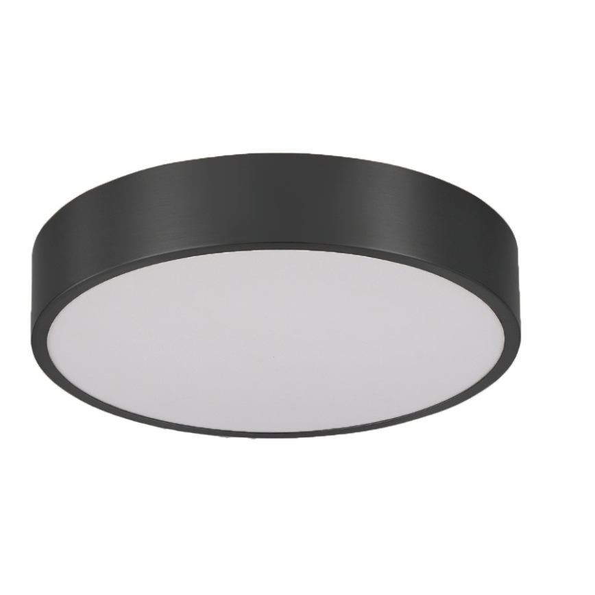 Brilagi - LED kupaonsko stropno svjetlo POOL LED/24W/230V 3000/4000/5500K Ø 30 cm IP54 crno