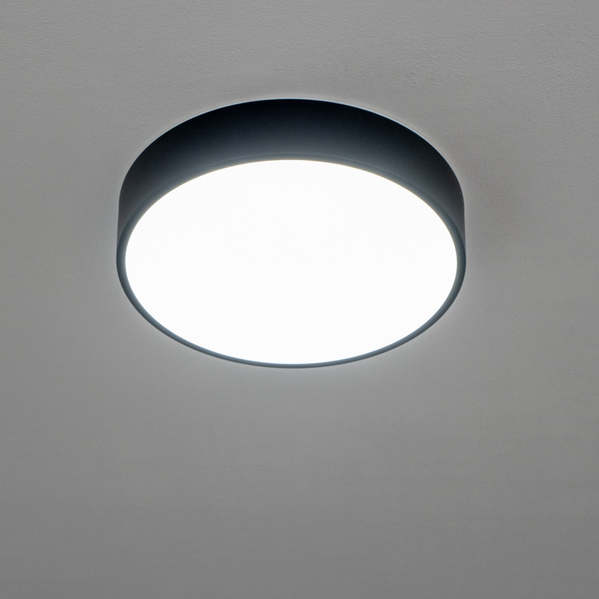 Brilagi - Stropno LED svjetlo za kupaonicu POOL LED/24W/230V 3000/4000/5500K, promjer 30 cm, IP54, crno