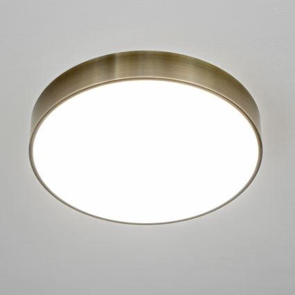 Brilagi - LED stropno svjetlo za kupaonicu POOL LED/36W/230V 3000/4000/5500K Ø 40 cm IP54 mesing