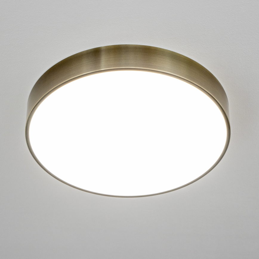 Brilagi - LED stropno svjetlo za kupaonicu POOL LED/36W/230V 3000/4000/5500K Ø 40 cm IP54 mesing