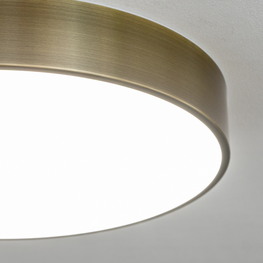 Brilagi - LED stropno svjetlo za kupaonicu POOL LED/36W/230V 3000/4000/5500K Ø 40 cm IP54 mesing