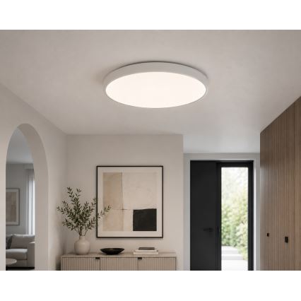 BRILAGI - LED kupaonsko stropno svjetlo ZENNA LED/24W/230V Ø 35 cm IP44 bijela