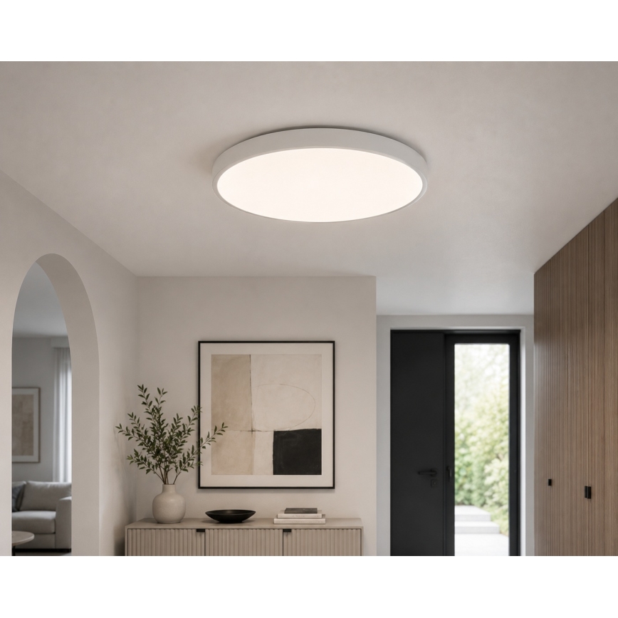 BRILAGI - LED kupaonsko stropno svjetlo ZENNA LED/24W/230V Ø 35 cm IP44 bijela