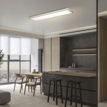 Brilagi - LED stropno svjetlo za kupaonicu s prigušivanjem FRAME SMART LED/50W/230V 120x30 cm 3000-6000K IP44 srebrna + daljinski upravljač