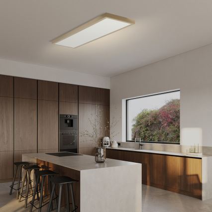 Brilagi - LED prigušivo kupaonsko stropno svjetlo FRAME SMART LED/50W/230V 120x30 cm 3000-6000K IP44 bež + daljinski upravljač