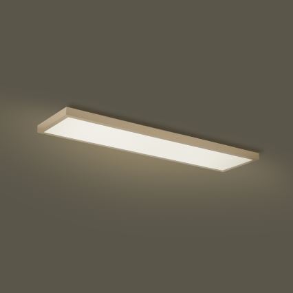 Brilagi - LED prigušivo kupaonsko stropno svjetlo FRAME SMART LED/50W/230V 120x30 cm 3000-6000K IP44 bež + daljinski upravljač