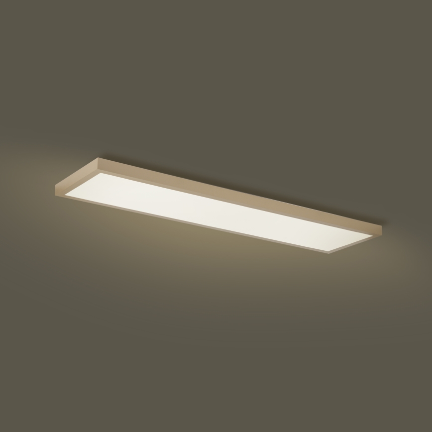Brilagi - LED prigušivo kupaonsko stropno svjetlo FRAME SMART LED/50W/230V 120x30 cm 3000-6000K IP44 bež + daljinski upravljač