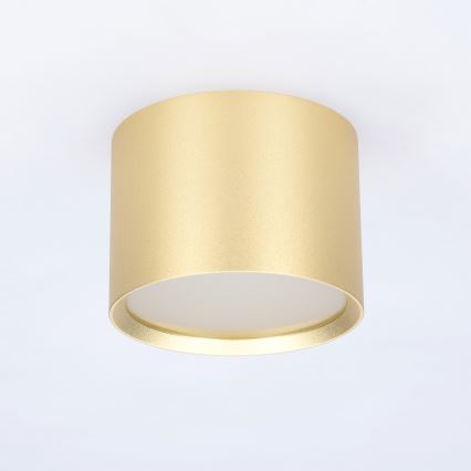 BRILAGI - LED Kupaonska točkasta svjetiljka SMOOTH 1xGX53/15W/230V 60x82 mm zlatna IP54