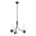 Brilagi - LED Luster na lancu COTTAGE 3xE14/40W/230V hrast/bijela