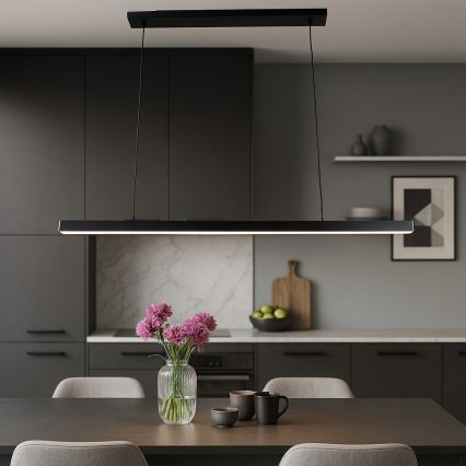 Brilagi - LED luster na sajli AXIS LED/30W/230V 120 cm crna