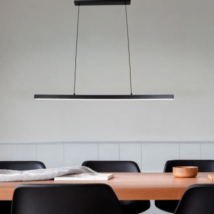 Brilagi - LED luster na sajli AXIS LED/30W/230V 120 cm crna