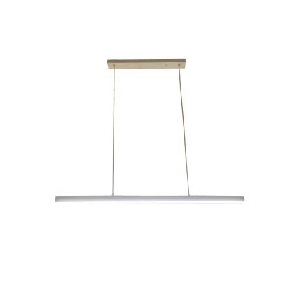 Brilagi - LED luster na sajli AXIS LED/30W/230V bijela