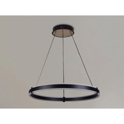 Brilagi - LED luster s mogućnošću prigušivanja na sajli CIRCLE LED/85W/230V 3000-6500K Ø 60 cm crna/zlatna + daljinski upravljač