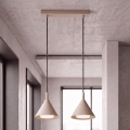 BRILAGI - LED Luster na sajli CONE DOUBLE 2xGX53/15W/230V bež