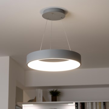 Brilagi - LED luster na sajli FALCON s mogućnošću prigušivanja, LED/40W/230V 3000-6500K pr. 45 cm siva + daljinsko upravljanje