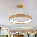 BRILAGI - LED luster na sajli FALCON WOOD MODERN LED/60W/230V 3000/4000/6000K Ø 80 cm drvo
