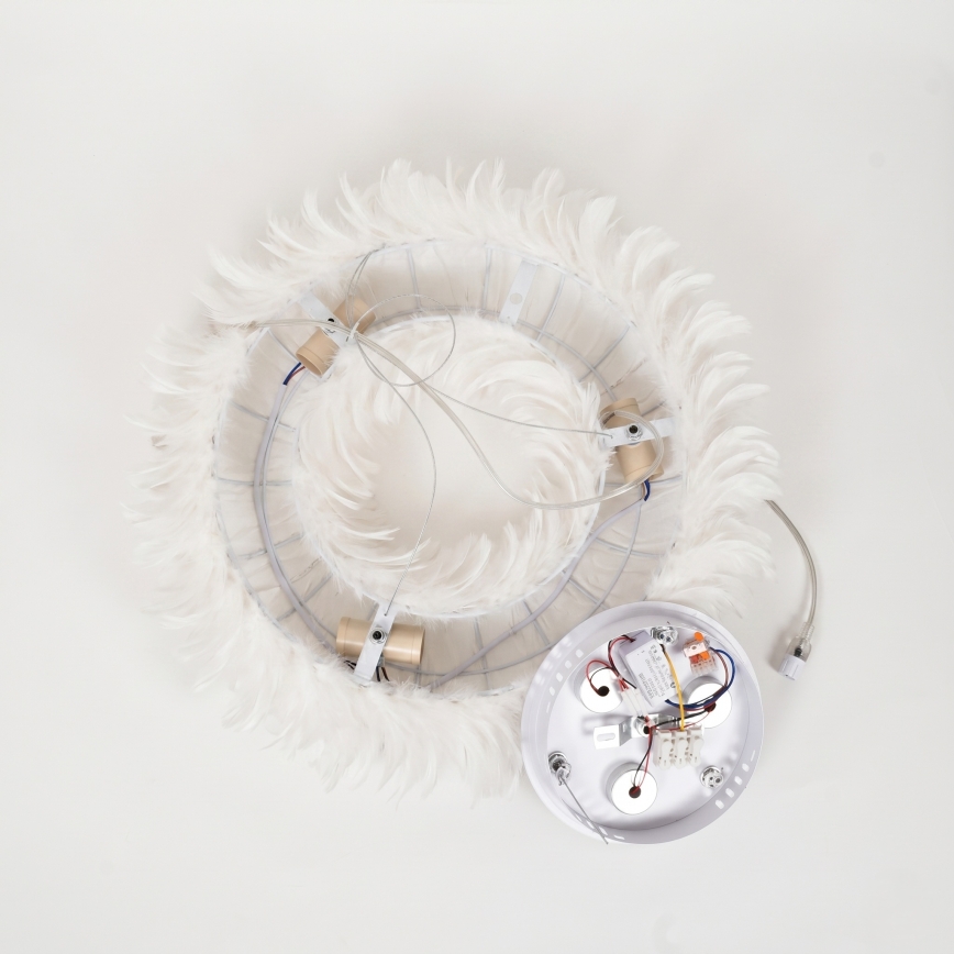BRILAGI - LED luster na sajli FEATHER 3xE27/40W/230V + 3xLED/3W Ø 40 cm bijeli