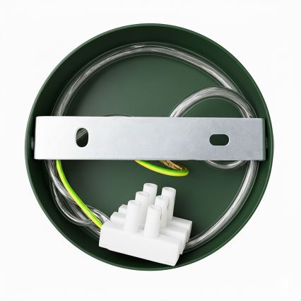 Brilagi - LED Luster na sajli FLAMENGO 1xE27/60W/230V zelena