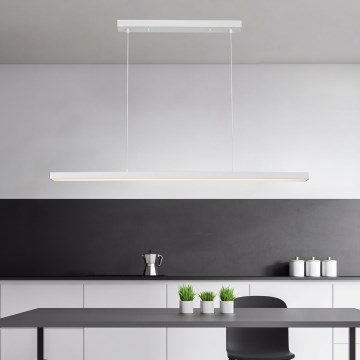 Brilagi - LED luster na sajli PAXIS LED/30W/230V 120 cm bijela