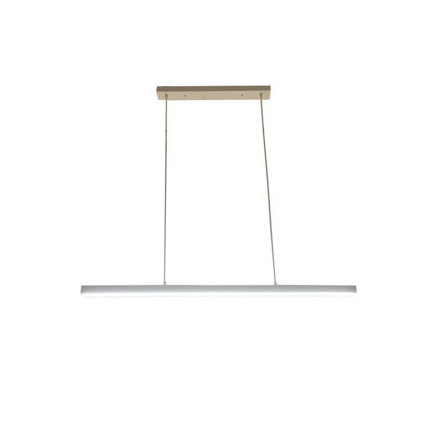 Brilagi - LED luster na sajli PAXIS LED/30W/230V 120 cm bijela
