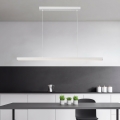 Brilagi - LED luster na sajli PPAXIS LED/30W/230V 120 cm bijela